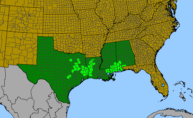 The range of Sarracenia alata